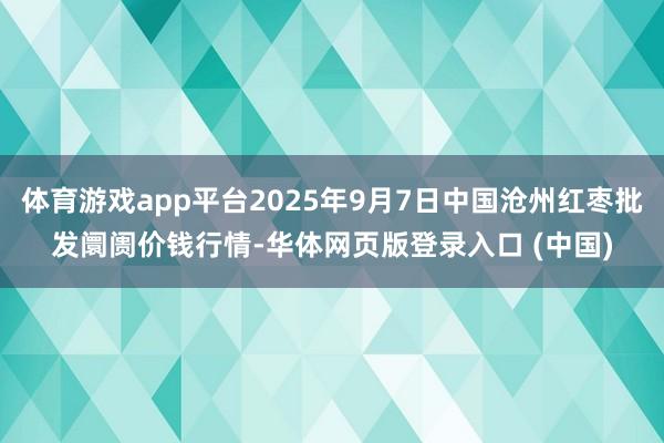 体育游戏app平台2025年9月7日中国沧州红枣批发阛阓价钱行情-华体网页版登录入口 (中国)